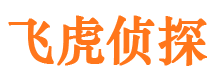 大方市侦探公司